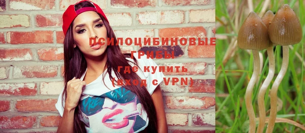 apvp Абаза