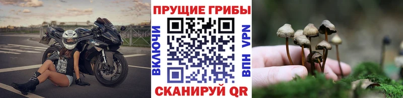 гидра ONION  как найти закладки  Чулым  Галлюциногенные грибы Cubensis 